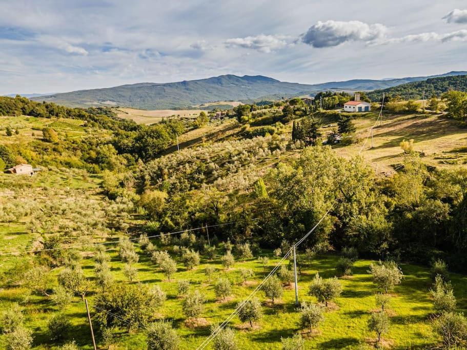 Casa Della Nonna Villa Chianni Luaran gambar